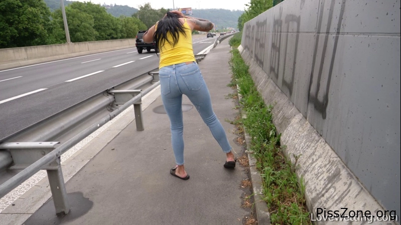 Girl Breaks the Seal Busy Road Silvia Black, (MPEG-4/2025) 593 MB, girl piss