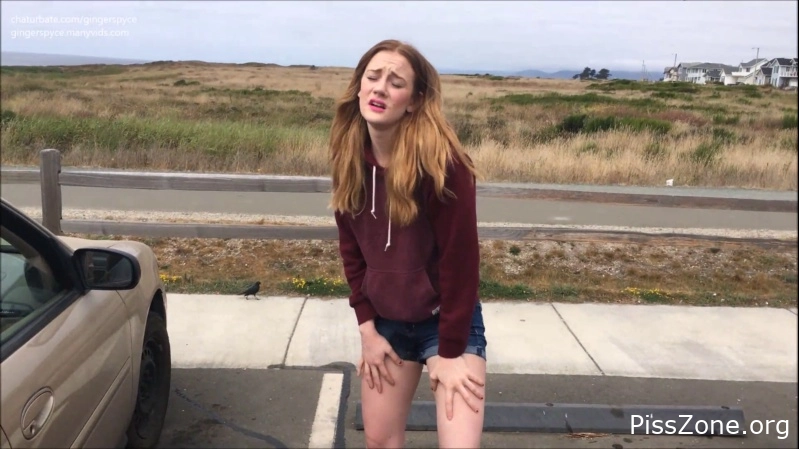 Yellow Kink Fun Risky Public Teen Piss And Squirt Near Road Gingerspyce, (MPEG-4/2025) 209 MB, self pee