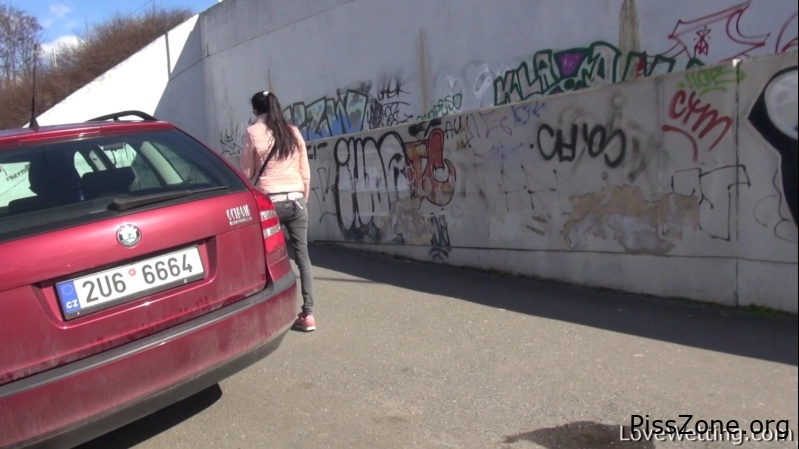 Wild Soak Travelling With Ashley, (MPEG-4/2025) 1.61 GB, peeing wave