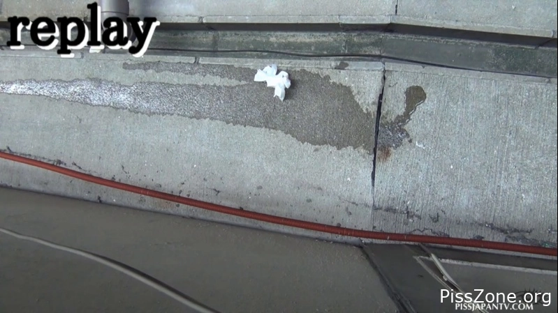 Japanese Spy City Pissing 307 MB, MPEG-4, 2025