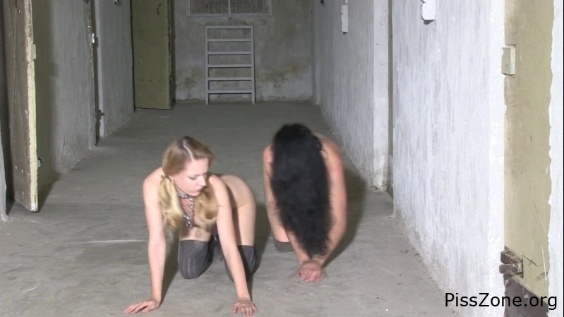 with quickie girl Lolicoon - Naughty Silly Dogs 932 MB, MPEG-4, 2025