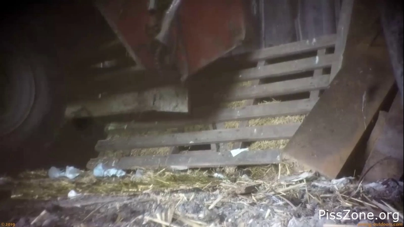 Fetish Bathroom Babe Beer Festival Summary 0057, (MPEG-4/2025) 750 MB, pee loss