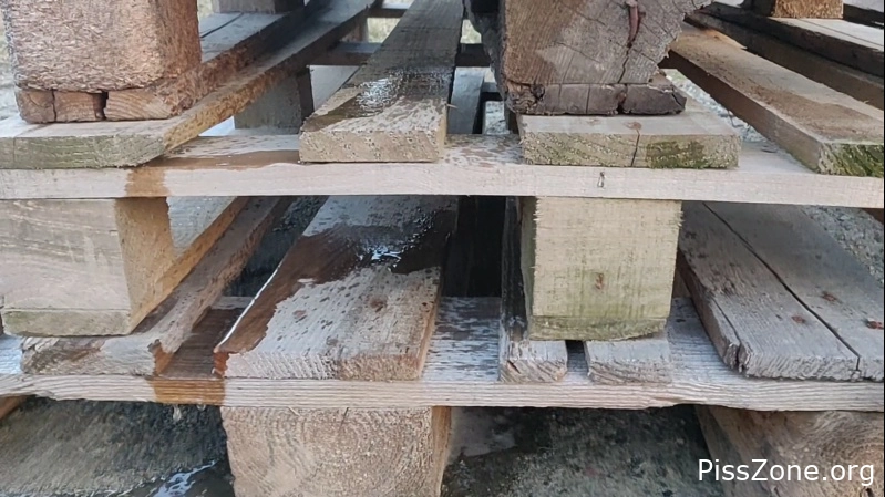 She’s Drenched Peeing On A Old Pallets Reallifedoll, (MPEG-4/2025) 201 MB, mouth pee