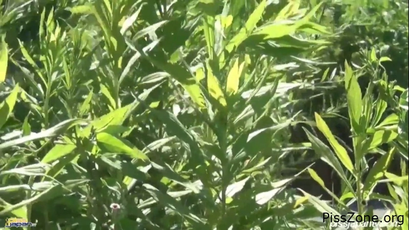 Piss Drip Cam Leave Puddles Of Pee, (MPEG-4/2025) 372 MB, pee buzz