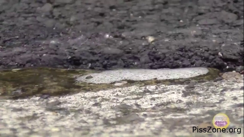 Jap - School Girls Piss Prank Outdoors