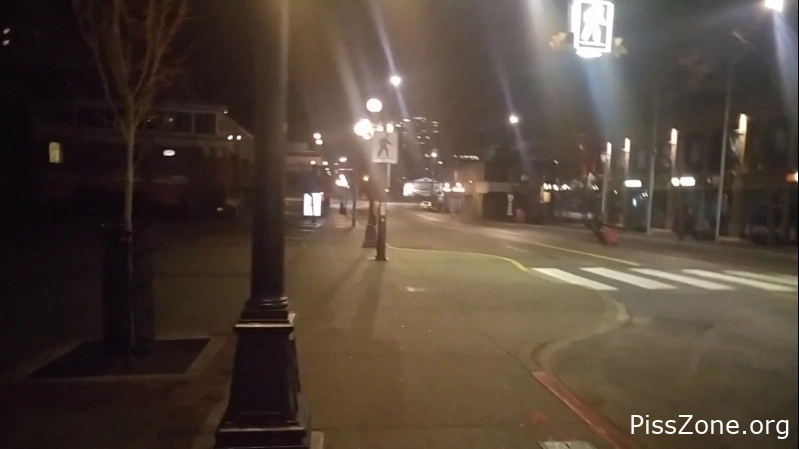 Toilet Girl Wild - Downtown Public Pissing Milf In Fishnets 2025, Sassyjbomb, urinate game