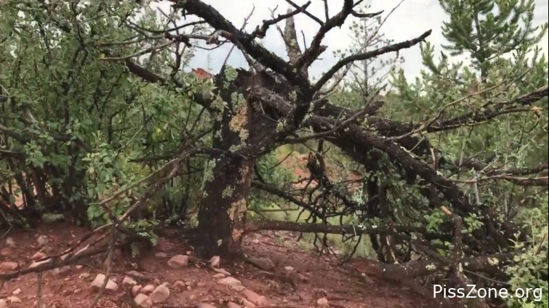 Out of Control Desperation And Pee In Wild Park, (MPEG-4/2025) 207 MB, soaked piss